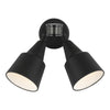 Generation Lighting. Two Light Flood with Photo and Motion Sensor