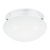 Generation Lighting. Two Light Flush Mount