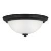 Generation Lighting. Two Light Flush Mount
