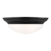 Generation Lighting. Two Light Flush Mount