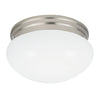 Generation Lighting. Two Light Flush Mount