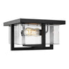 Generation Lighting. Two Light Flush Mount