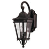 Generation Lighting. Two Light Outdoor Fixture