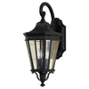 Generation Lighting. Two Light Outdoor Fixture
