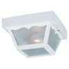 Generation Lighting. Two Light Outdoor Flush Mount