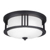 Generation Lighting. Two Light Outdoor Flush Mount