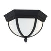 Generation Lighting. Two Light Outdoor Flush Mount