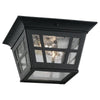 Generation Lighting. Two Light Outdoor Flush Mount