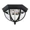 Generation Lighting. Two Light Outdoor Flush Mount