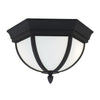 Generation Lighting. Two Light Outdoor Flush Mount