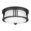 Generation Lighting. Two Light Outdoor Flush Mount