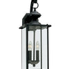 Generation Lighting. Two Light Outdoor Wall Lantern