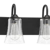 Gwyneth Two Light Vanity in Flat Black