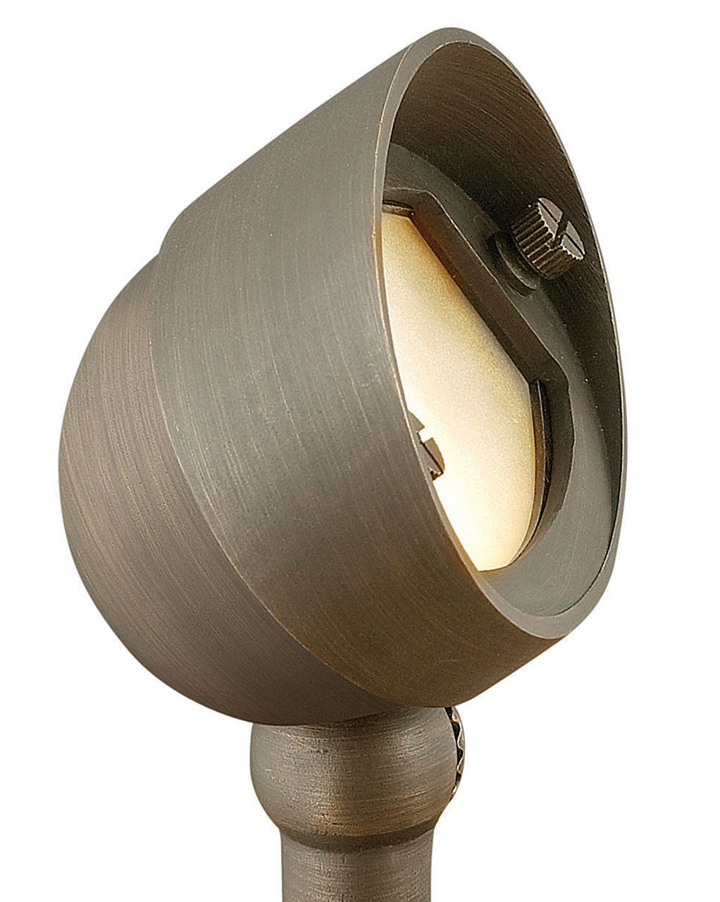 Hardy Island Accent Spot Light LED Flood Light in Matte Bronze