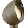 Hardy Island Accent Spot Light LED Flood Light in Matte Bronze