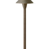 Hardy Island Path Light LED Path Light in Matte Bronze