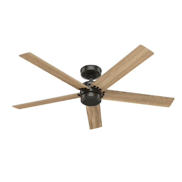 Hunter Fan Burton 52" Outdoor Ceiling Fan with Wall Control