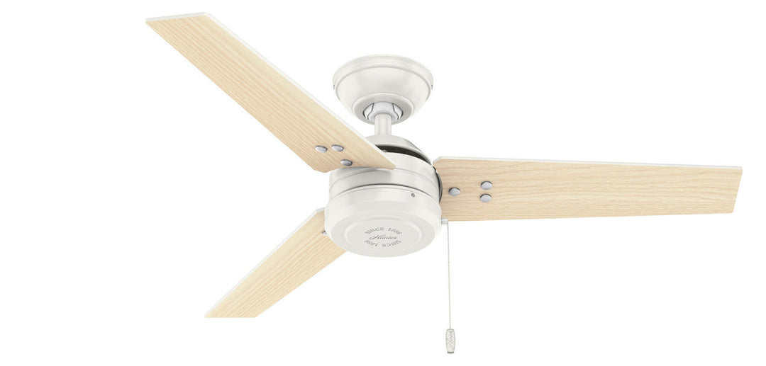 Hunter Fan Cassius Indoor/Outdoor Pull Chain Ceiling Fan