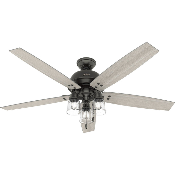 Hunter Fan Churchwell 60" Pull Chain Ceiling Fan with 13W LED