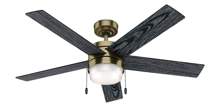 Hunter Fan Claudette 52" Pull Chain Ceiling Fan with 14W LED