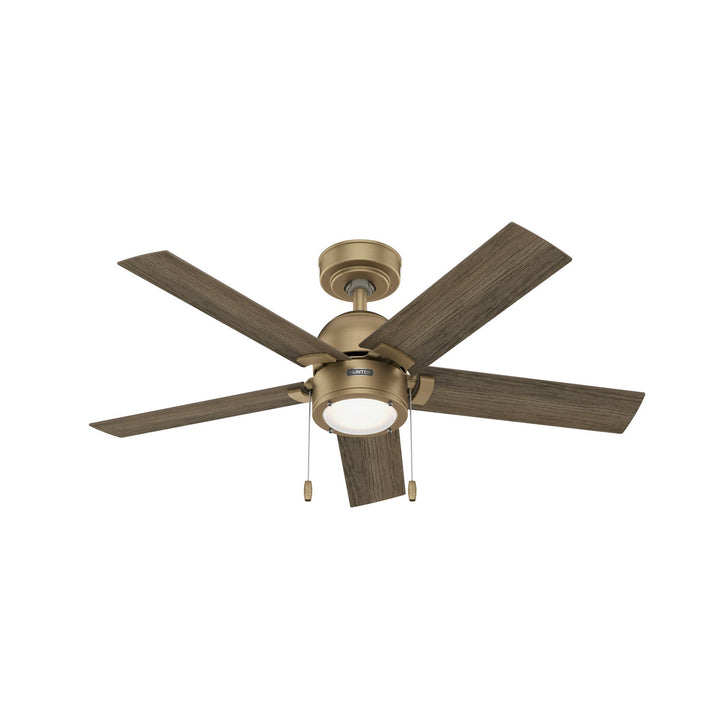 Hunter Fan Erling Pull Chain Ceiling Fan with 18W LED