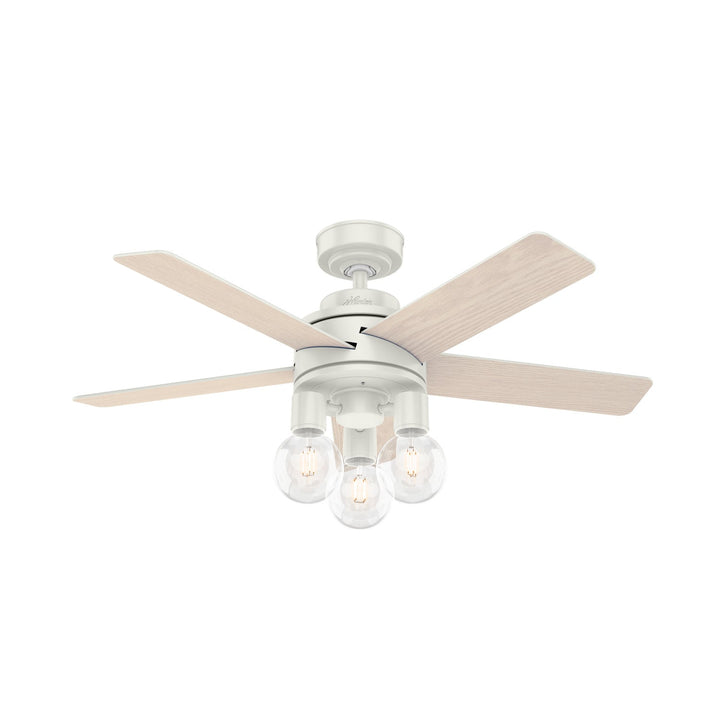 Hunter Fan Hardwick Ceiling Fan with 18W LED and Remote