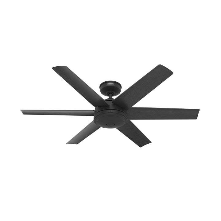 Hunter Fan Jetty 52" Outdoor Ceiling Fan with Wall Control