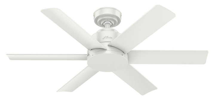 Hunter Fan Kennicott Indoor/Outdoor Ceiling Fan with Wall Control