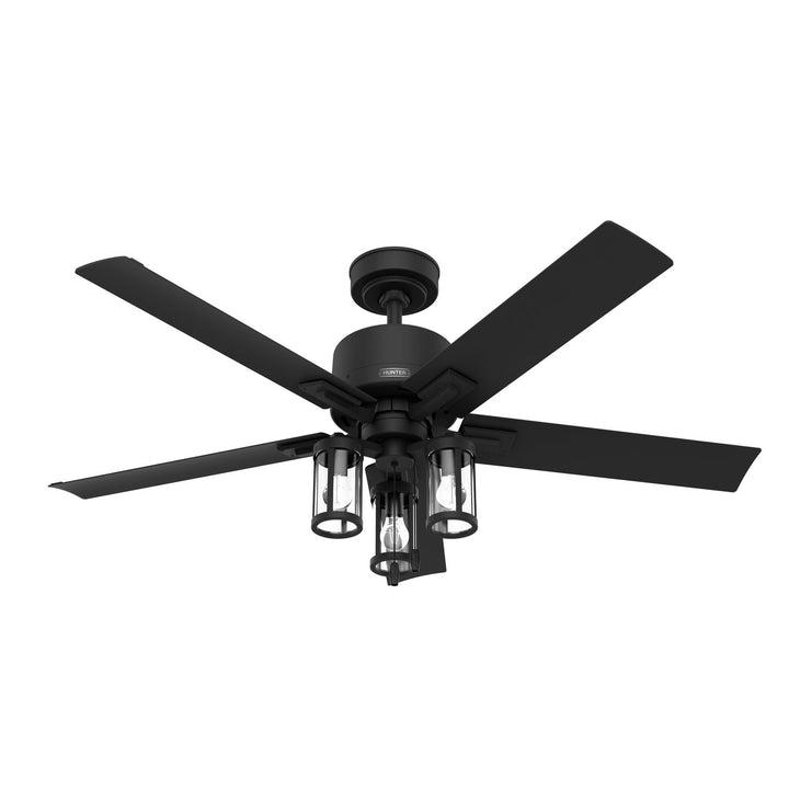 Hunter Fan Lawndale 52" Outdoor Pull Chain Ceiling Fan with 14W LED