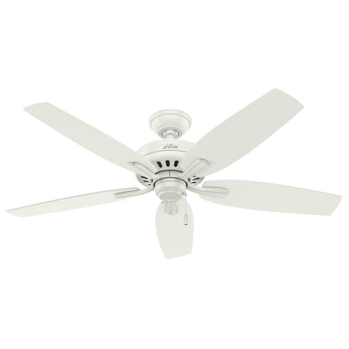 Hunter Fan Newsome 52" Indoor/Outdoor Pull Chain Ceiling Fan