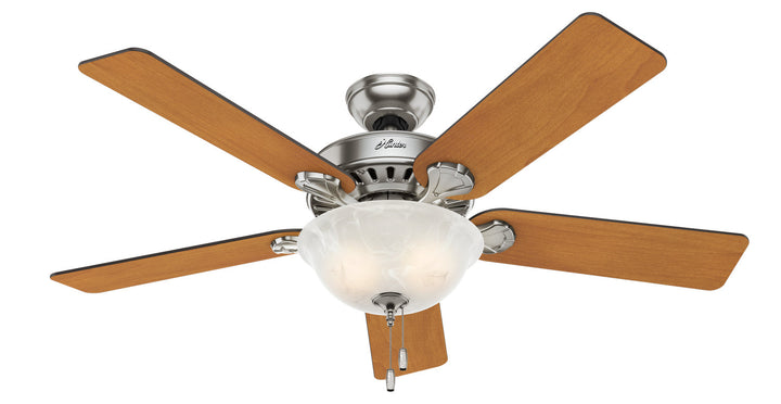 Hunter Fan Pro's Best 52" Pull Chain Ceiling Fan with 18W LED