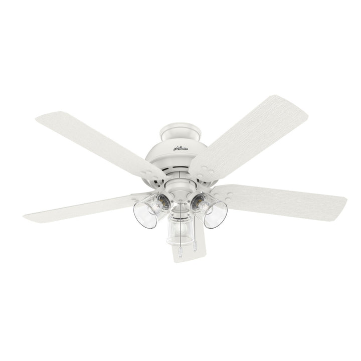 Hunter Fan River Ridge 52" Indoor/Outdoor Pull Chain Ceiling Fan with 14W