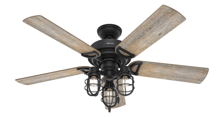 Hunter Fan Starklake 52" Indoor/Outdoor Pull Chain Ceiling Fan with 10.5W LED