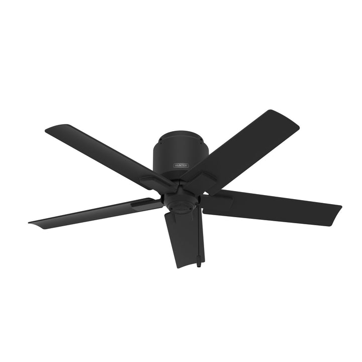 Hunter Fan Terrace Cove 44" Flushmount Outdoor Pull Chain Ceiling Fan