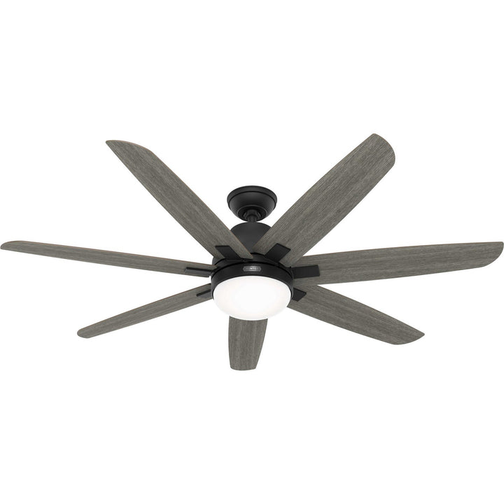 Hunter Fan Wilder 60" Indoor DC Ceiling Fan with 18W LED and Wall Control