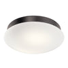 Kichler LED Fan Light Kit