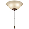 Kichler LED Fan Light Kit