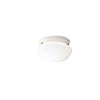 Kichler One Light Flush Mount