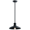 Kichler One Light Outdoor Pendant/Semi Flush Mount