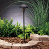 Kichler One Light Path & Spread