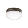 Kichler Two Light Flush Mount