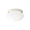 Kichler Two Light Flush Mount