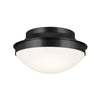 Kichler Two Light Flush Mount