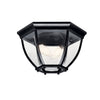 Kichler Two Light Outdoor Ceiling Mount
