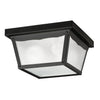Kichler Two Light Outdoor Ceiling Mount