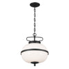 Kichler Two Light Pendant