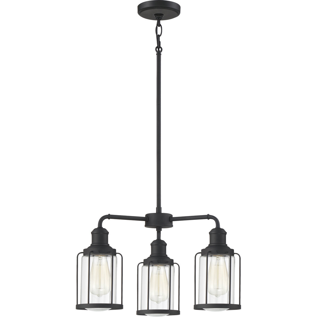 Quoizel Three Light Chandelier