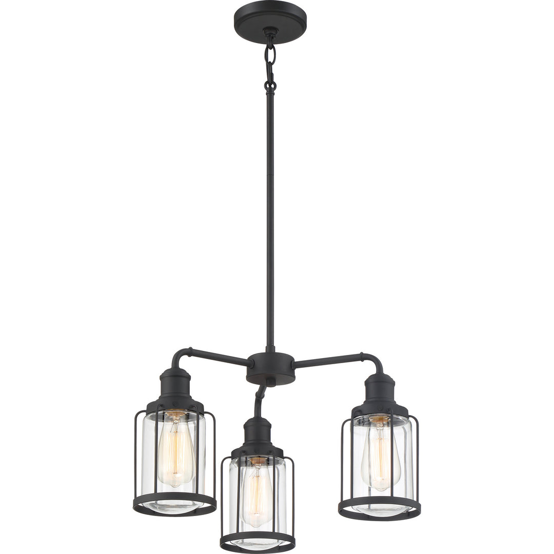 Quoizel Three Light Chandelier