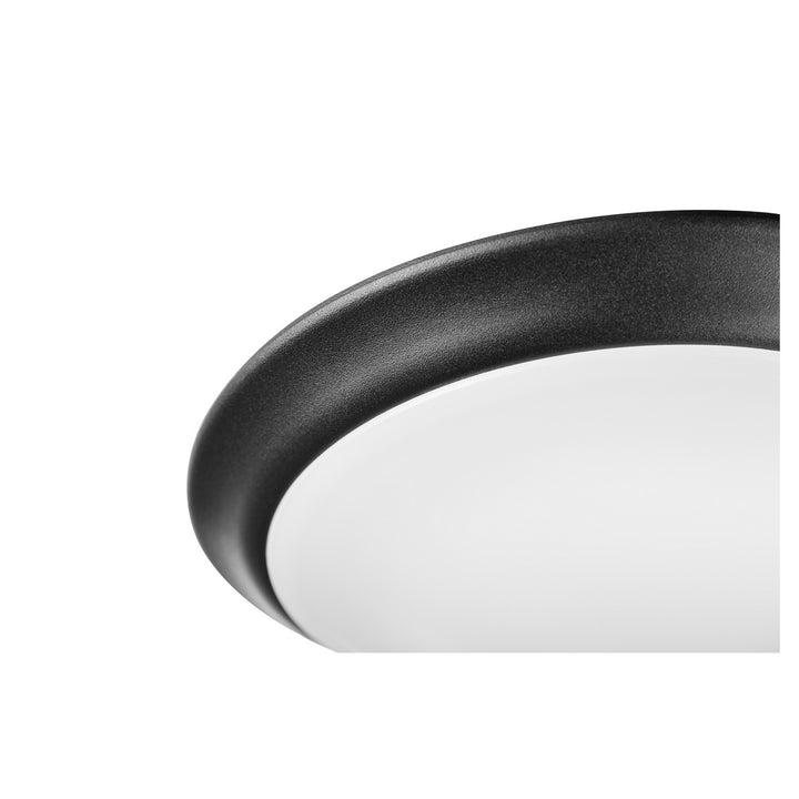 Quorum LED Ceiling Mount