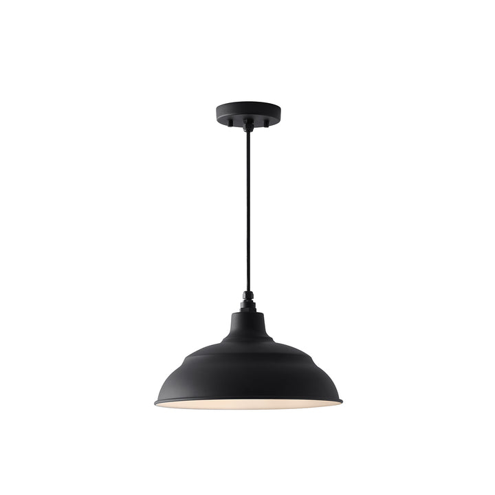 Capital Lighting Shade & Cord Canopy